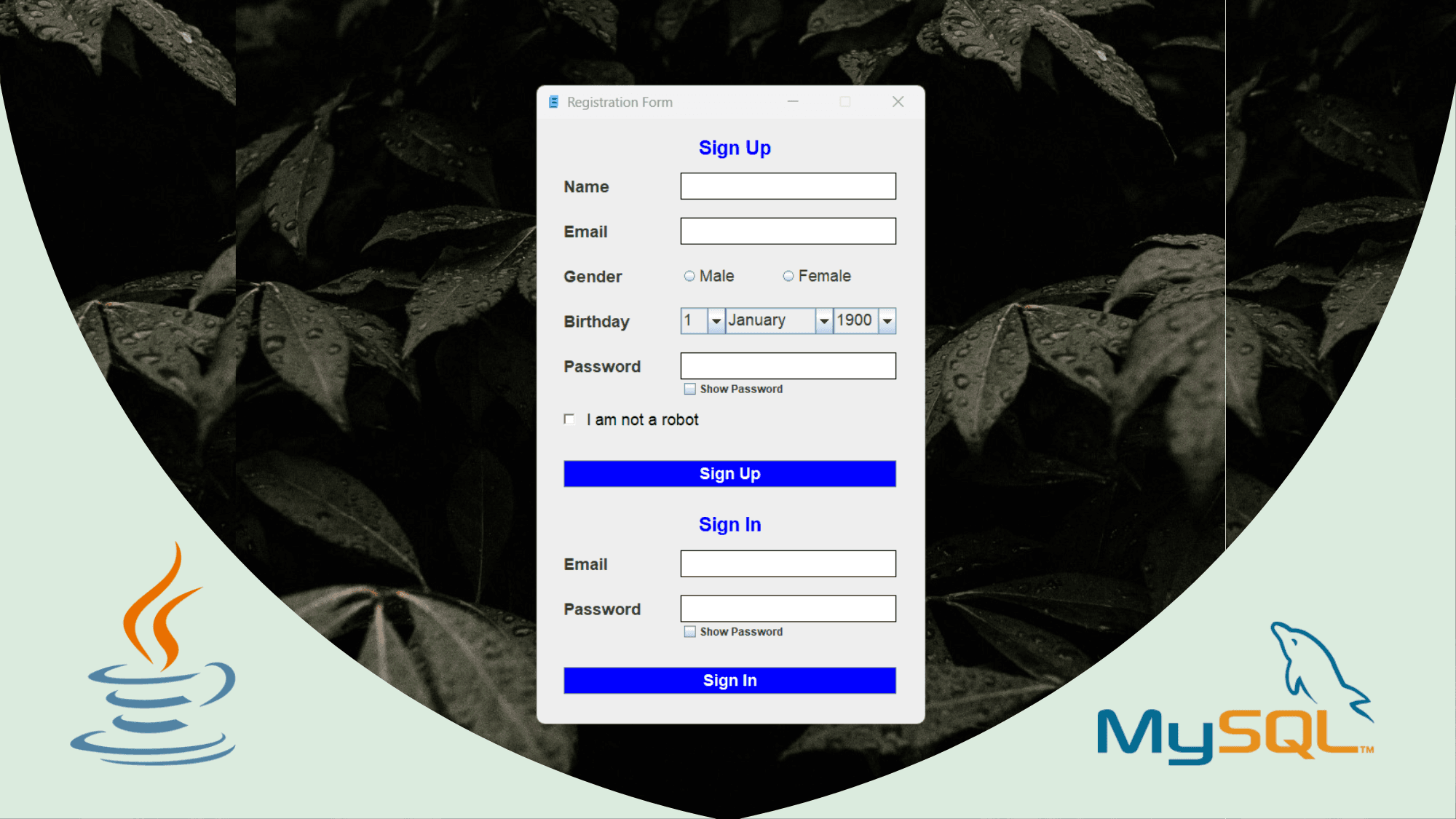 Java Swing Registration System